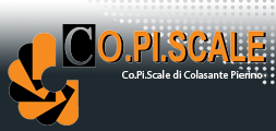 Co.Pi Scale